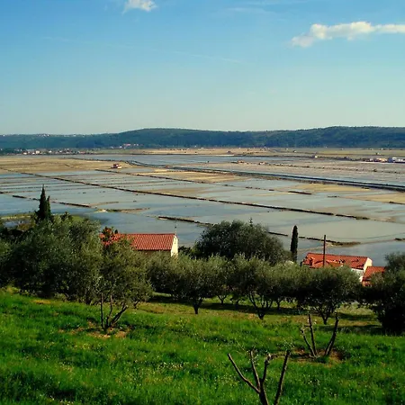 Seca Daire Portorož