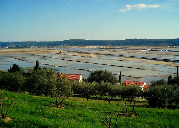 Seca Apartamento Portorož